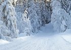 Вот такая красота Зимой. часть 4