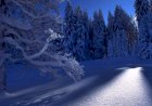 Вот такая красота Зимой. часть 8