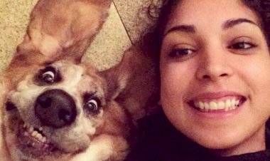 Почему некоторые домашние животные выглядят точно так же, как их владельцы