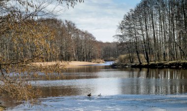 Весенний пруд