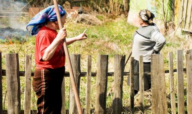 5 частых причин ссор соседей по дачным участкам