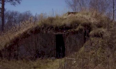 Странный бункер в лесу (тревожный рассказ)