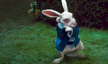 Синдром Белого кролика