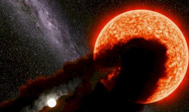 Самая странная звезда