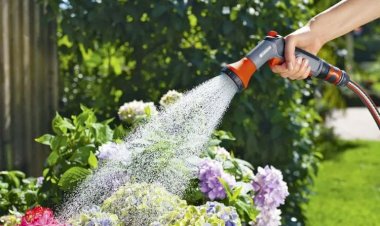 Когда и как поливать растения весной? Советы, рекомендации и ошибки, которых следует избегать