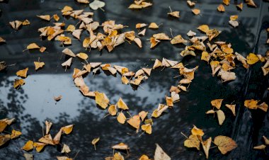 Как разлюбить человека, который тебя не любит?