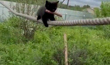 Вот такая она — жизнь