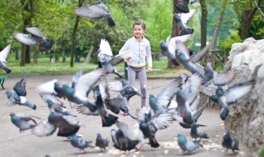 Стыдно за взрослых не понимающих почему нельзя пугать голубей