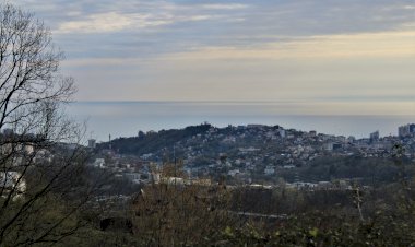 Деревенский Сочи. Картинки, наблюдения - село Богушевка