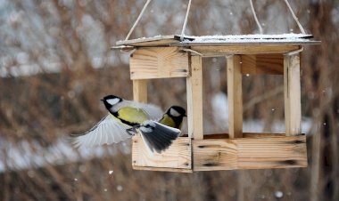 Кормушка для Синичек