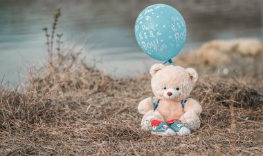 Учёные раскрыли секрет популярности плюшевых мишек.