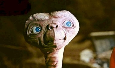 Ученый сообщил, что внеземная жизнь будет найдена уже совсем скоро