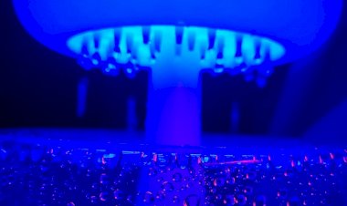 8 забавных товаров с Amazon, которые вы моментально захотите приобрести для себя