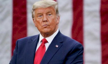 Как Дональд Трамп хотел сняться в фильме Леонида Гайдая