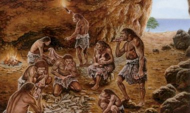 Откуда есть пошел Homo Sapiens – Человек Разумный