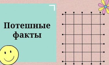 Забавные Факты о Которых Вы Не Знали