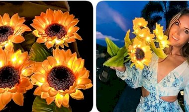 Топ-10 умных аксессуаров, которые заставят ваших соседей завидовать