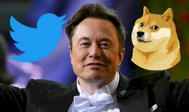 Почему Илон Маск изменил логотип Twitter?