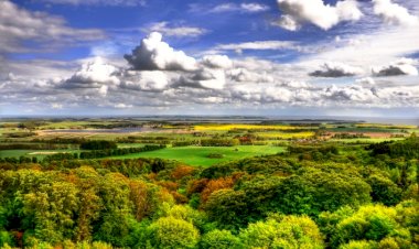 С высоты птичьего полёта