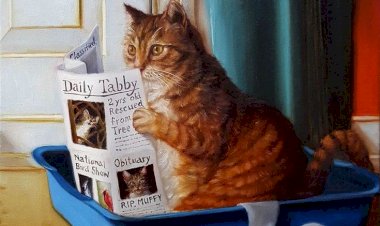 Дзен и оплата за подписчиков, это как пощёчина авторам, особенно новичкам