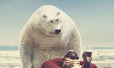 Монетизация видео на Ярус, настало время показать свои достижения и миллионы