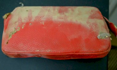 Капсула времени от американской школьницы удивила всех