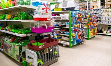 На чём делает выручку зоомагазин, если животные ему идут лишь в убыток