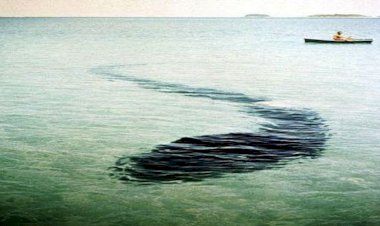 Что общего между Карадагским змеем, ихтиозавром и мозазавром, и на чем основано предположение об их родстве