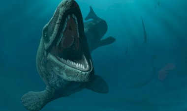 Мозазавр: в кино,в реальности, новые факты