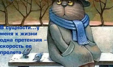 Груз проблем