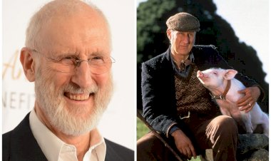 Джеймс Кромвель помог спасти сбежавшую по дороге на бойню свинью и назвал ее Бэйб