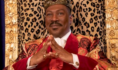 Финансовый путь Эдди Мерфи. Из грязи в князи