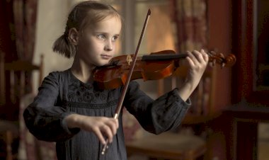 ПЛЮСЫ и  МИНУСЫ отдать ребенка на СКРИПКУ в музыкальную школу! Это надо знать!!!