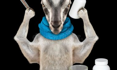 Таблетка для козы