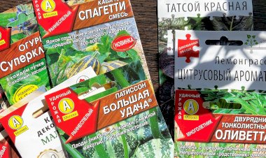 Покупаем семена. Пятёрка овощей и зеленных, которые не часто встретишь на участках россиян