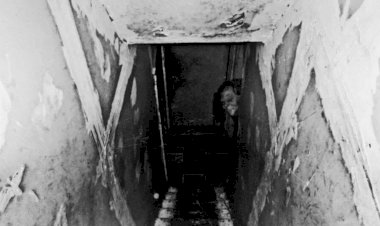 Жуткая история ужасов "Краденая мясорубка"