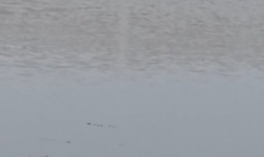 Когда рыба не клюет самое время  полюбоваться природой