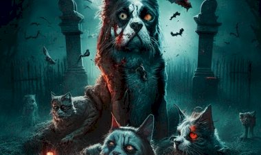 Путь Стивена Кинга к становлению мастером ужасов