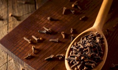 ЛЕЧЕНИЕ ГВОЗДИКОЙ. НАРОДНАЯ МЕДИЦИНА 