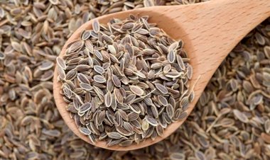 ❗️БОРЕМСЯ С ВЫСОКИМ ДАВЛЕНИЕМ С ПОМОЩЬЮ... УКРОПА❗️