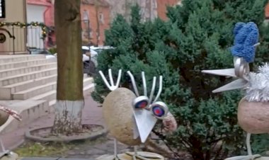 Невероятные авторские птички Зеленоградска