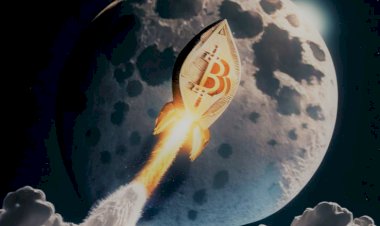 To the moon? Курс главной криптовалюты на 14 апреля