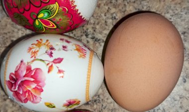 Как отбелить яйца для Пасхи