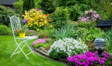 8 садовых тенденций, которые могут укоренится в 2023 году