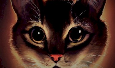 Высоко сижу, далеко гляжу. Зарисовка о курильском бобтейле