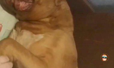 Ну как тут проснуться, когда рядом такая соня спит