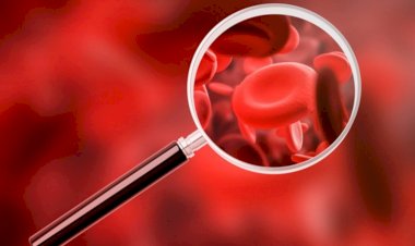 Поднимаем гемоглобин народными средствами.