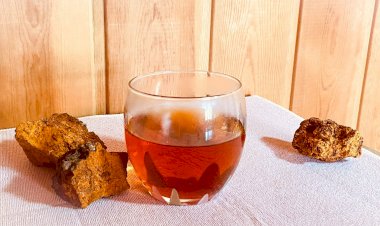 Чаговый чай. Напиток настолько самодостаточный, что в улучшениях не нуждается