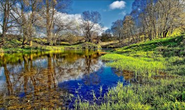 Весна! Природа расцветает!