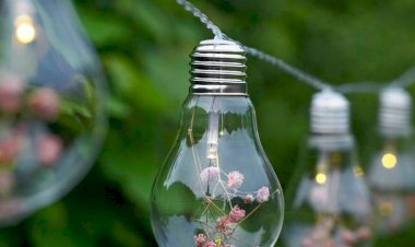 Источники освещения, как лучшие идеи декора для сада и дома